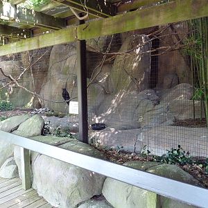 Raven Exhibit