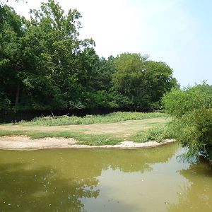 Multi-Acre Texas Longhorn/White-Tailed Deer/Bison/Sandhill Crane Exhibit