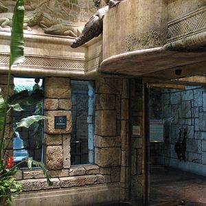Jungle - Entry Foyer