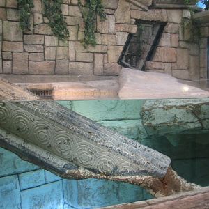 Jungle - Golden Crocodile Exhibit