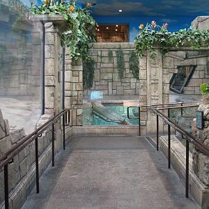 Jungle - Exhibit Path