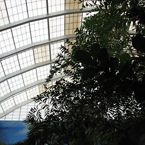 Temple - Skylight Roof