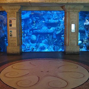 Temple - Caribbean Reef Exhibit