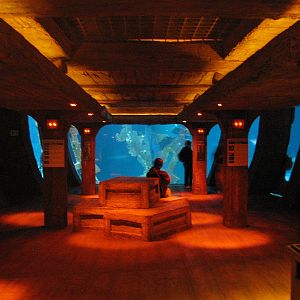 Shipwreck - Interior