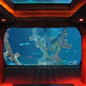 Shipwreck - Interior