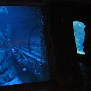 Shipwreck - Port Viewing Windows