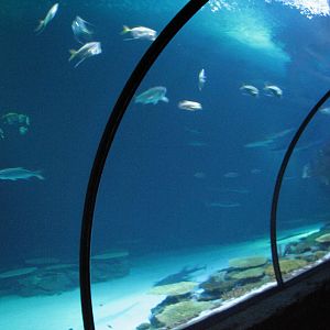 Shipwreck - Tunnel View