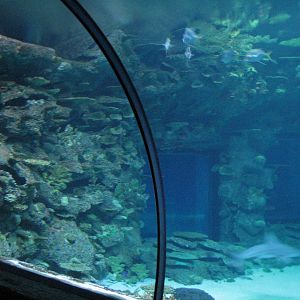 Shipwreck - Tunnel View