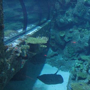 Shipwreck - Tunnel View