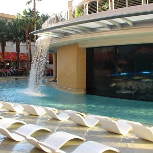 The Tank at Golden Nugget Hotel Casino in Las Vegas