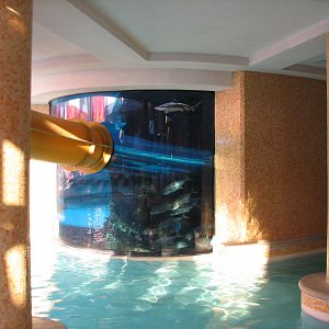 The Tank at Golden Nugget Hotel Casino in Las Vegas - Waterslide entering a