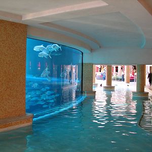 The Tank at Golden Nugget Hotel Casino in Las Vegas - Backside of Aquarium