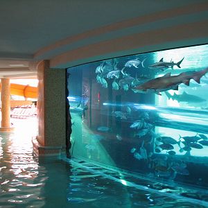 The Tank at Golden Nugget Hotel Casino in Las Vegas - Backside of Aquarium