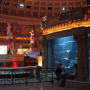 Atlantis Aquarium in Forum Shops at Caesar's Palace in Las Vegas