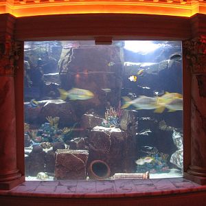Atlantis Aquarium in Forum Shops at Caesar's Palace in Las Vegas