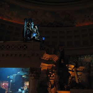 Atlantis Aquarium in Forum Shops at Caesar's Palace in Las Vegas - 'Fall of