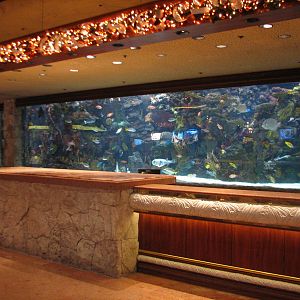 Registration Desk Aquarium at Mirage Hotel Casino in Las Vegas