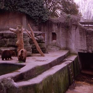 Brown bear exhibit, Giardino Zoologico, 1996