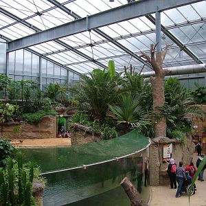 HippoDom Interior at Cologne, 07/09/10