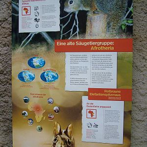 Signage Example at Cologne, 07/09/10