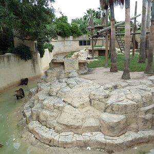Gorilla Exhibit