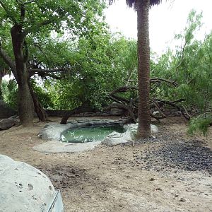 Galapagos Tortoise Exhibit