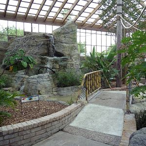 South American Free-Flight Aviary