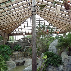 South American Free-Flight Aviary