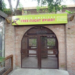 South American Free-Flight Aviary