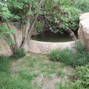 Philippine Crocodile Exhibit