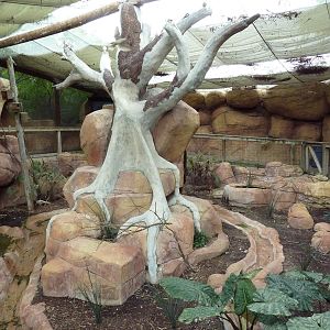 Indo-Australia Bird Walkabout