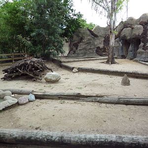 Emu/Agile Wallaby Exhibit