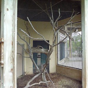 Kookaburra Exhibit