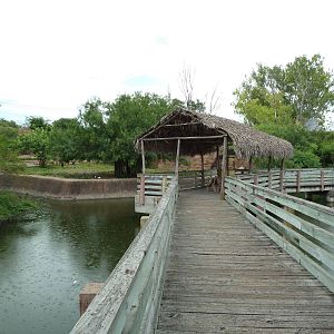 Visitor Boardwalk
