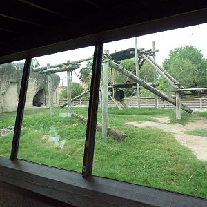 Chimpanzee Exhibit