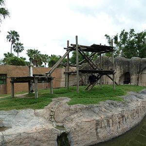 Chimpanzee Exhibit
