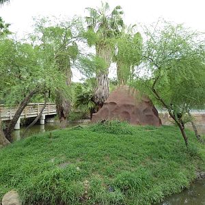 Red Ruffed Lemur Exhibit