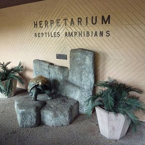 Herpetarium - Exterior