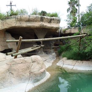 Sun Bear Exhibit