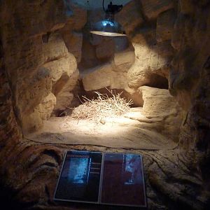 Sidewinder enclosure