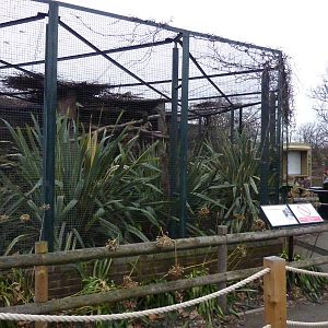 Extensive Red Panda barriers