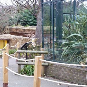 Extensive Red Panda barriers