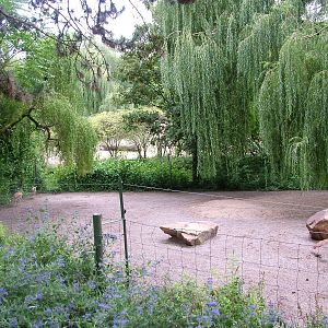Persian Gazelle Paddock at Cologne, 07/09/10