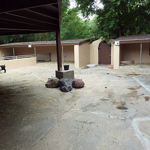Children's Zoo - Petting Yard