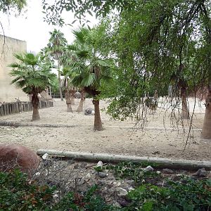 Kudu/Ostrich Exhibit
