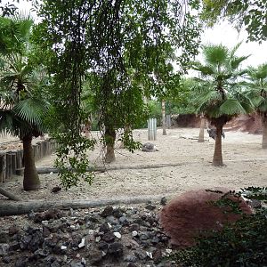 Kudu/Ostrich Exhibit
