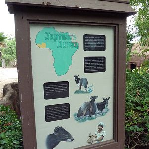 Jentink's Duiker Exhibit - Signage