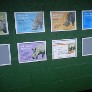 Rhino names-27/12/10.