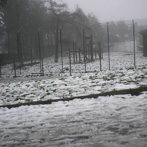 Tiger Falls-27/12/10.