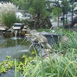Pond w/frog sculpture